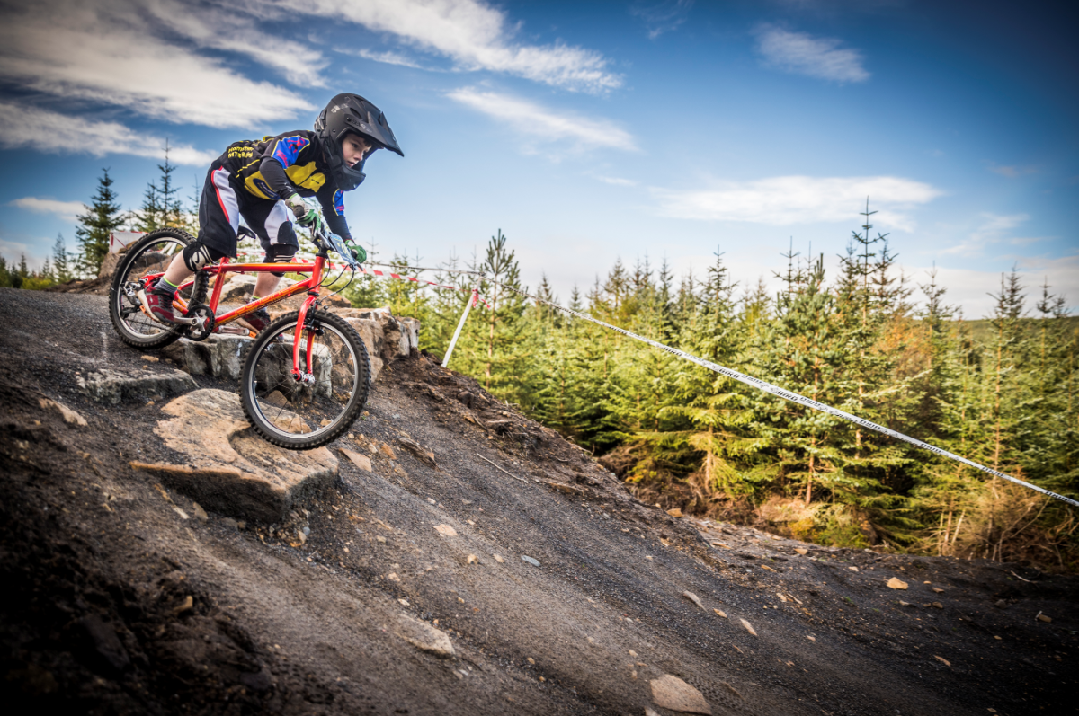 hamsterley forest bike shop