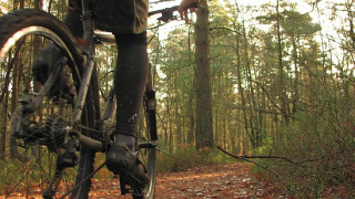 Where to Ride: Surrey: MTB