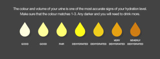 Weed In Urine Chart